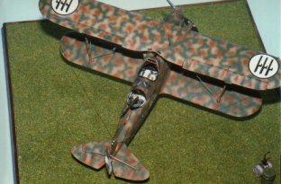 Imam RO 37 Rcr 1/48 realized by F.Rufolo